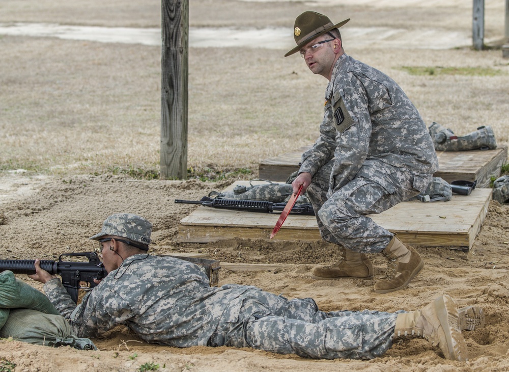 Army Reserve commander strives for mirror image