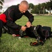 Training continues for USASOC Black Daggers