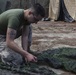 2D Transportation Support Battalion Marines participate in Operation Rolling Thunder