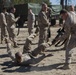 2D Transportation Support Battalion Marines practice Marine Corps Martial Arts