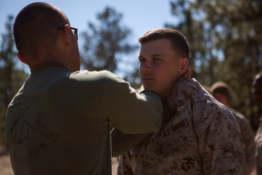 2D Transportation Support Battalion Marines practice Marine Corps Martial Arts