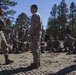 2D Transportation Support Battalion Marines practice Marine Corps Martial Arts