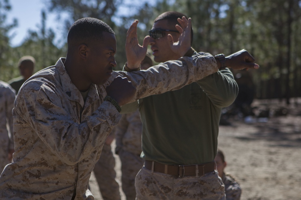 2D Transportation Support Battalion Marines practice Marine Corps Martial Arts