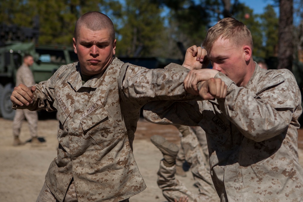 2D Transportation Support Battalion Marines practice Marine Corps Martial Arts