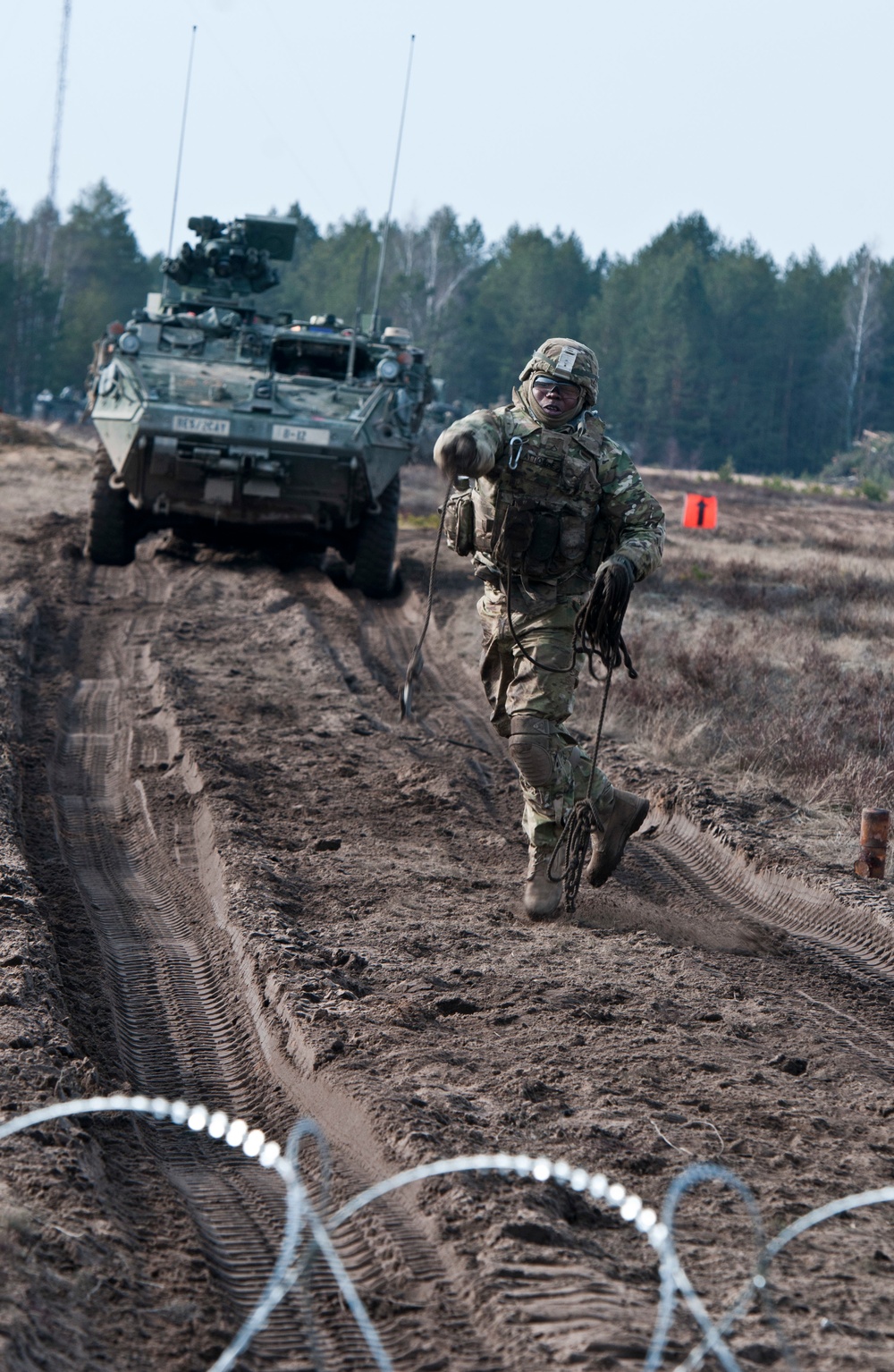 Operation Atlantic Resolve, Lithuania