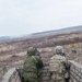 Operation Atlantic Resolve, Lithuania
