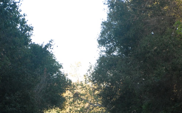 311th ESC Best Warrior Competition 2015