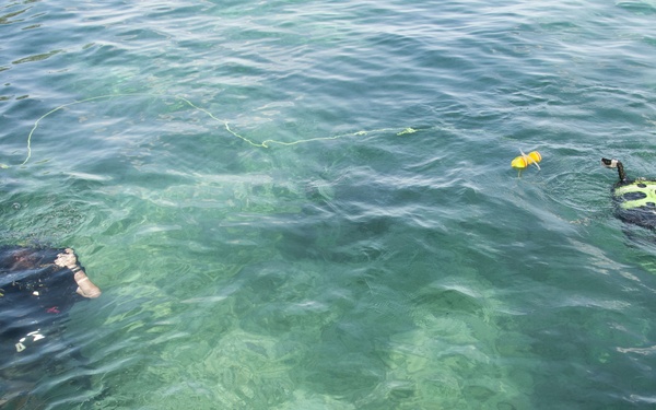 USS Frank Cable action