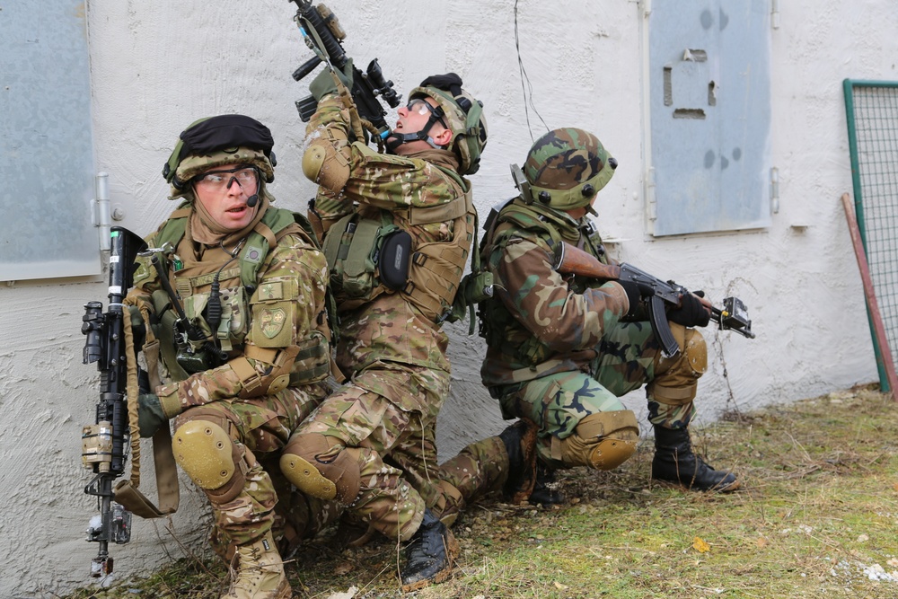 Georgian mission rehearsal exercise