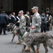 69th Infantry mascots at 2014 St. Patrick's Day Parade