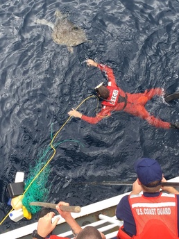 A unique rescue operation saves two sea turtles