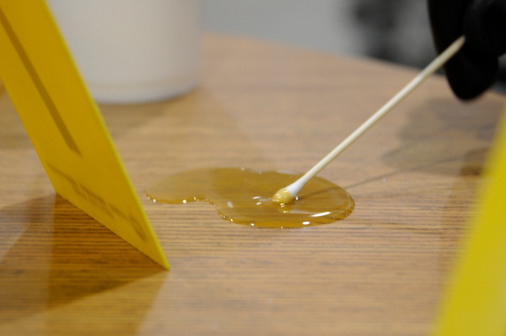 Global Dragon deployment for training