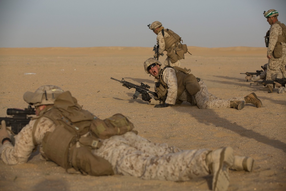 24th Marine Expeditionary Unit Conducts Live Fire Training