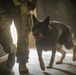 K-9s train at Battle Lab