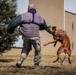 K-9s train at Battle Lab