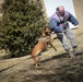 K-9s train at Battle Lab