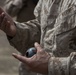 2D Transportation Support Battalion Marines practice throwing hand grenades with Headquarters Battery