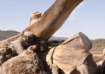 US Army Reserve CSTX 2015