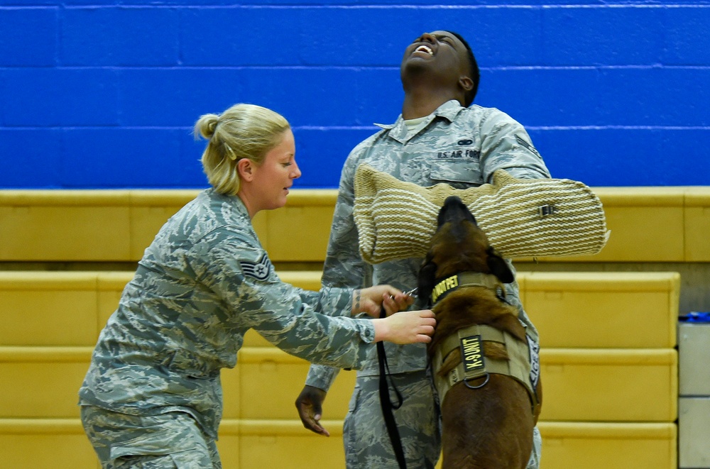 799th SFS K-9 handlers demonstrate military working dog skills, training to students