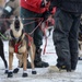 Air Force officer trains for Iditarod