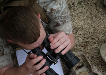 Marines conduct designated marksmanship observation lane training