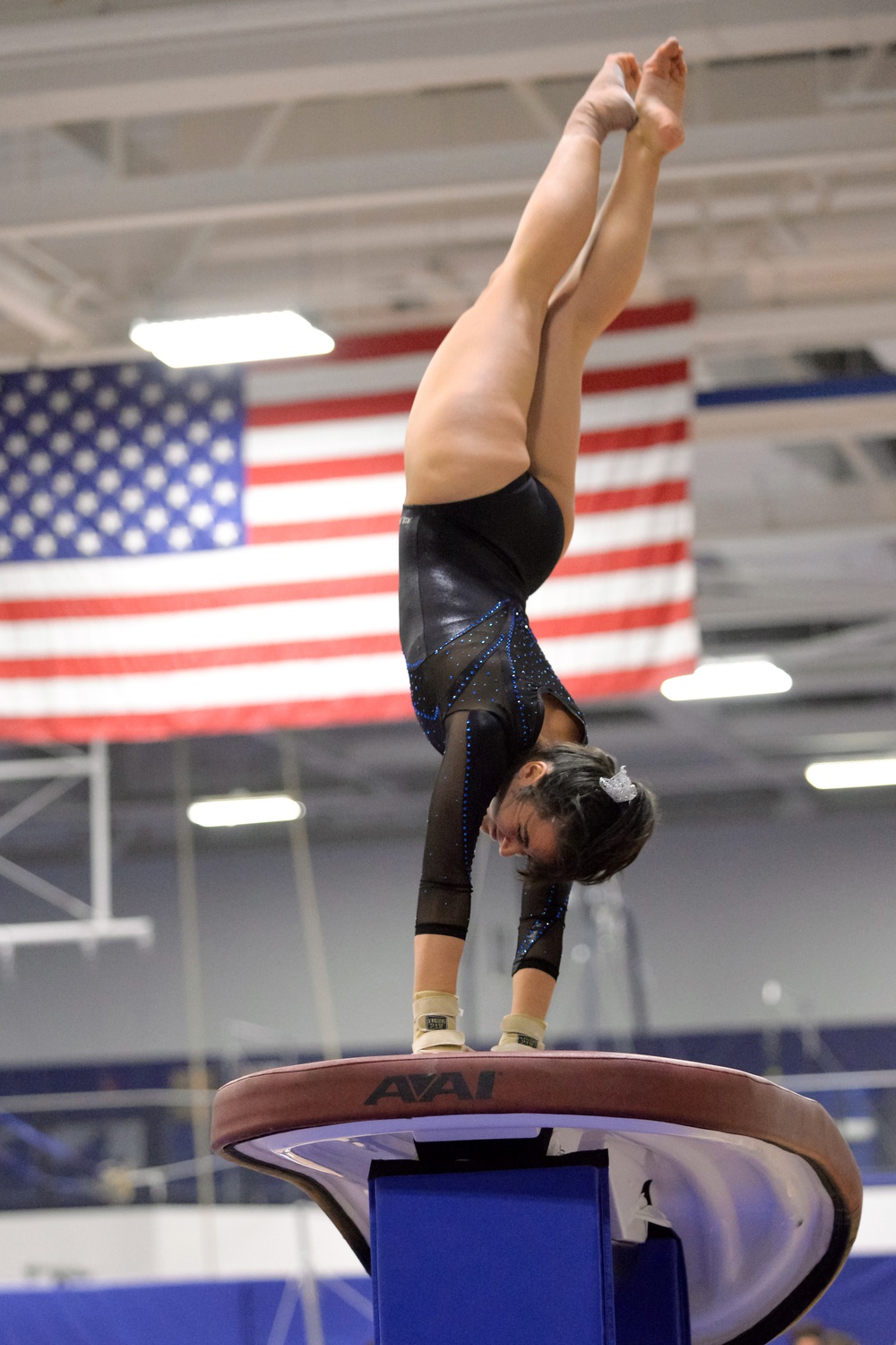 Air Force Academy Women's Gymnastics Triangular Meet