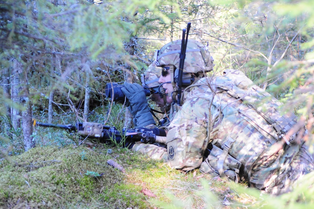 Operation Atlantic Resolve, Estonia