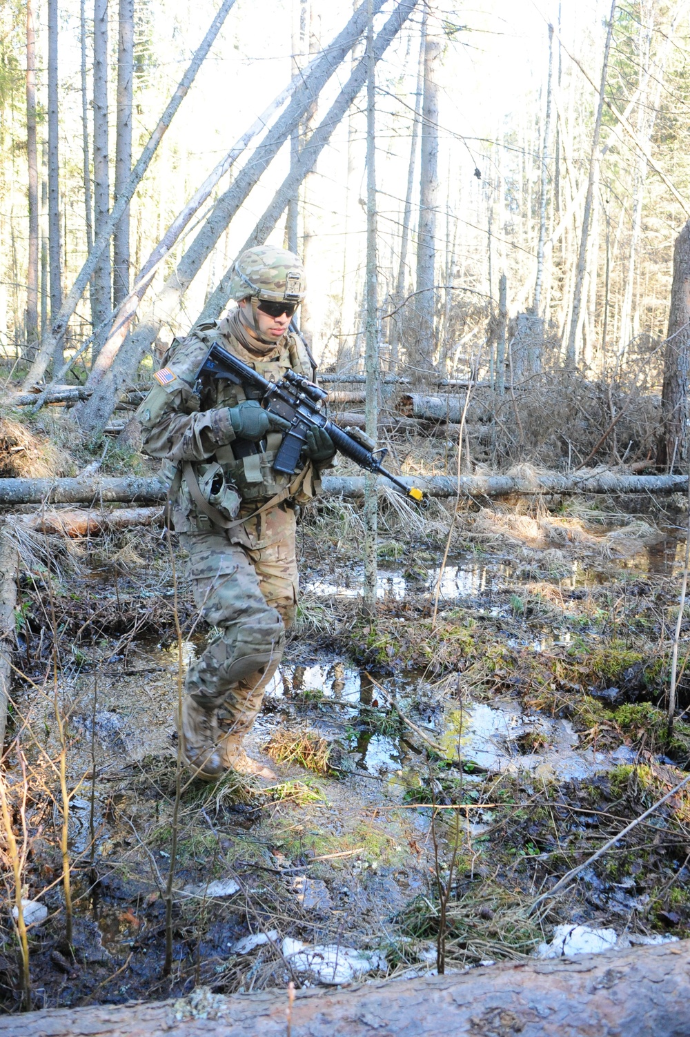 Operation Atlantic Resolve, Estonia