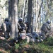 Operation Atlantic Resolve, Estonia