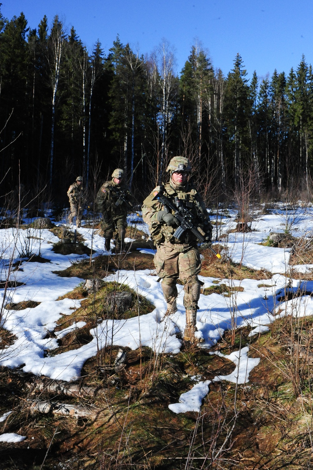 Operation Atlantic Resolve, Estonia