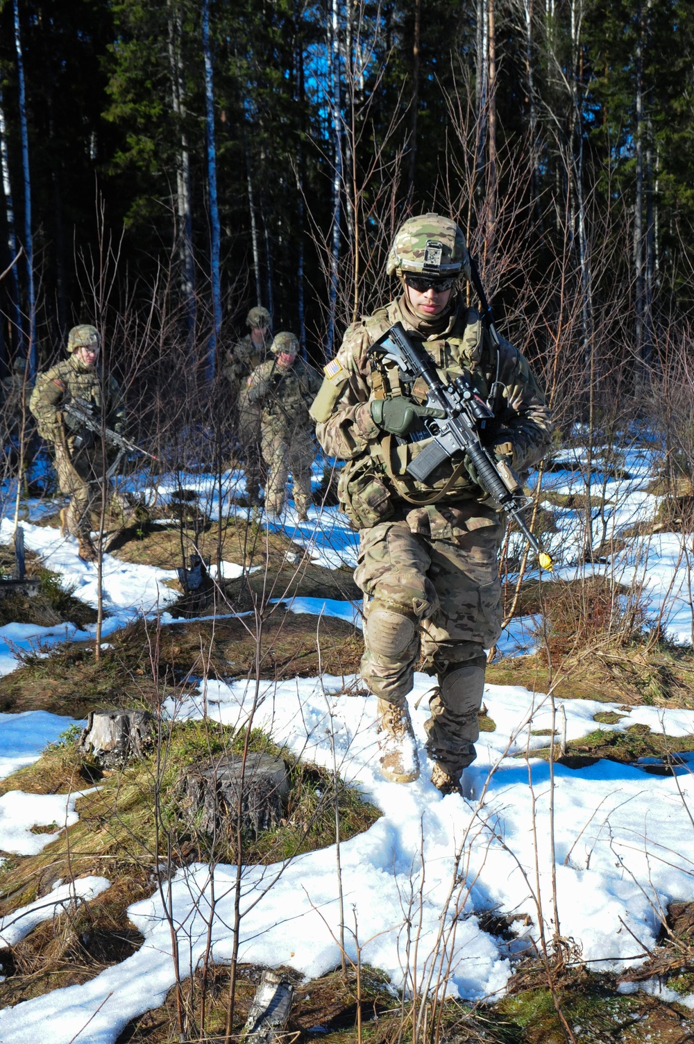 Operation Atlantic Resolve, Estonia