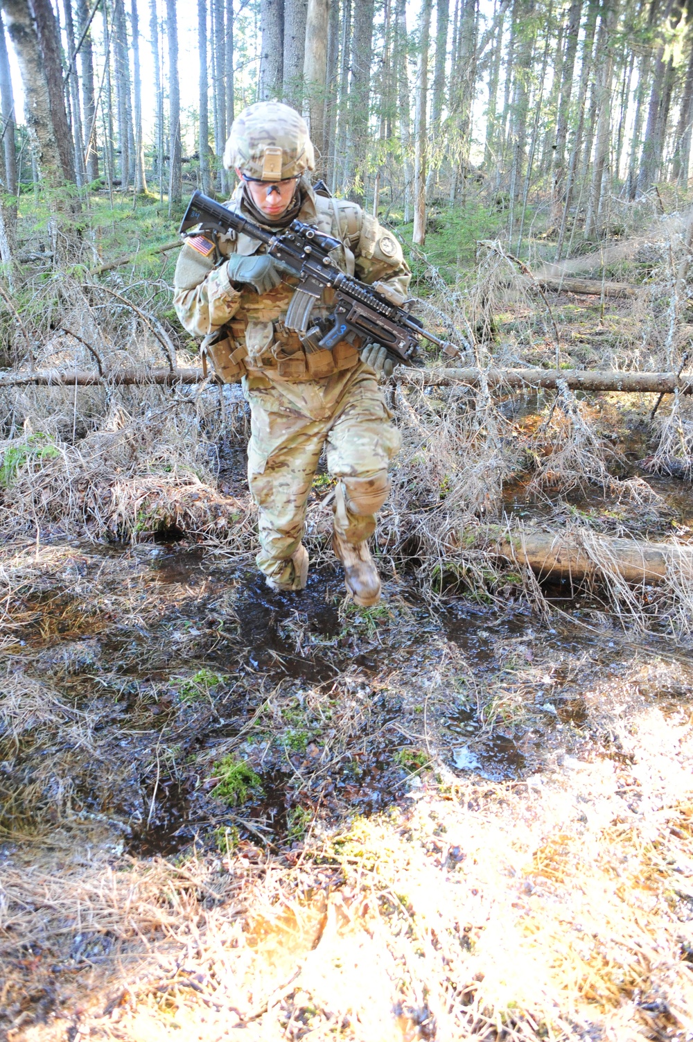 Operation Atlantic Resolve, Estonia