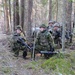 Operation Atlantic Resolve, Estonia