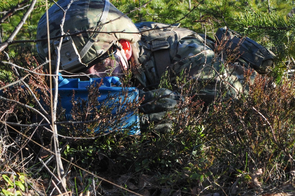 Operation Atlantic Resolve, Estonia