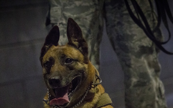 K-9's at JT2DC