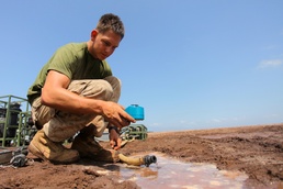 'Water Dogs' in Djibouti
