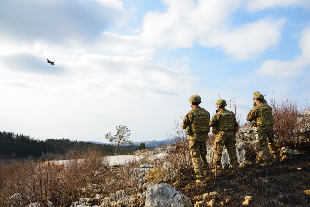Slovenia live close air support