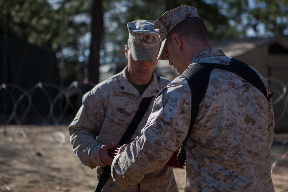 2nd Transportation Support Battalion Marines are awarded for participating in Operation Rolling Thunder