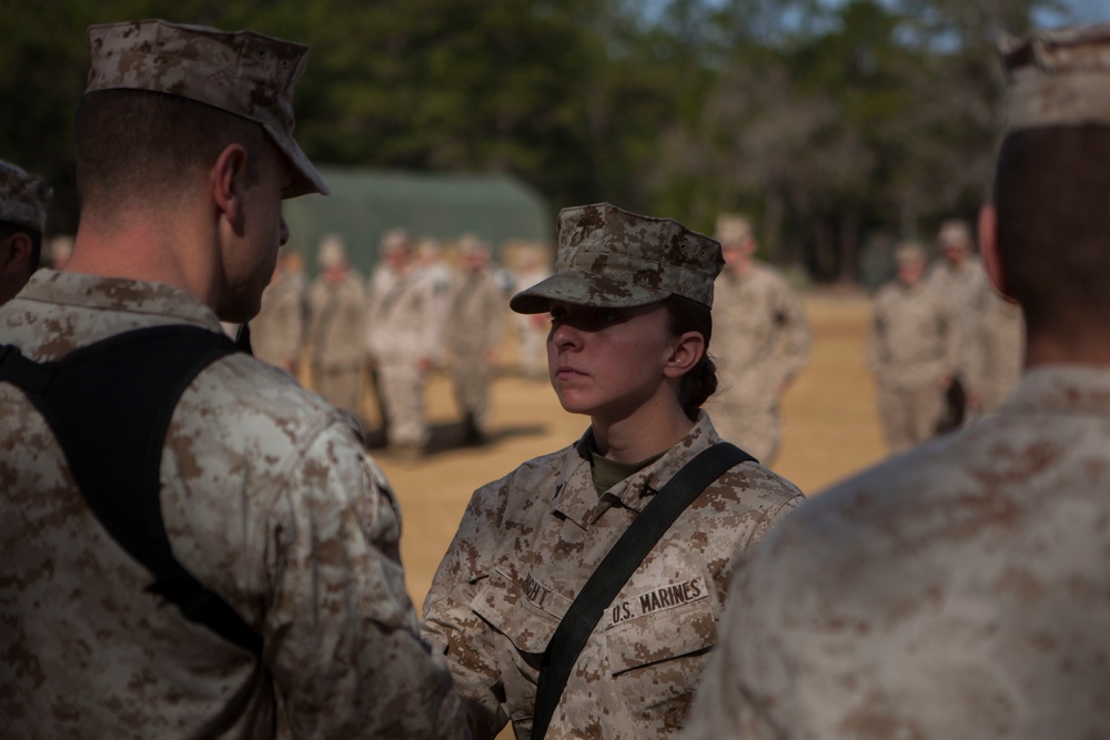 2nd Transportation Support Battalion Marines are awarded for participating in Operation Rolling Thunder