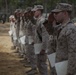 2d Transportation Support Battalion Marines are awarded for participating in Operation Rolling Thunder