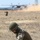 82nd Airborne, 16 Air Assault make first jumps for bilateral exercise