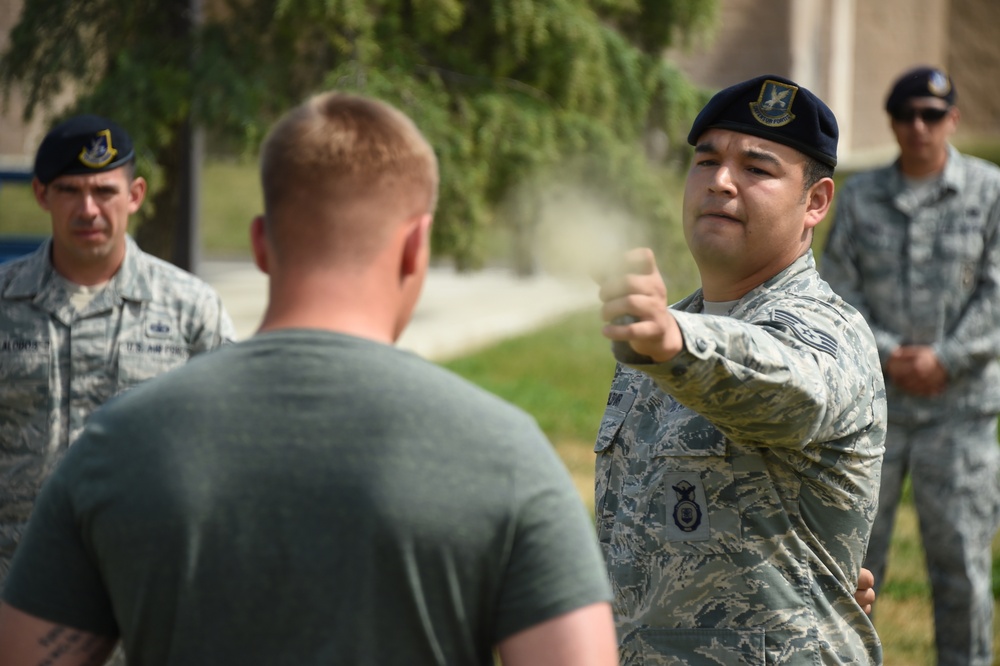 Security Forces Training