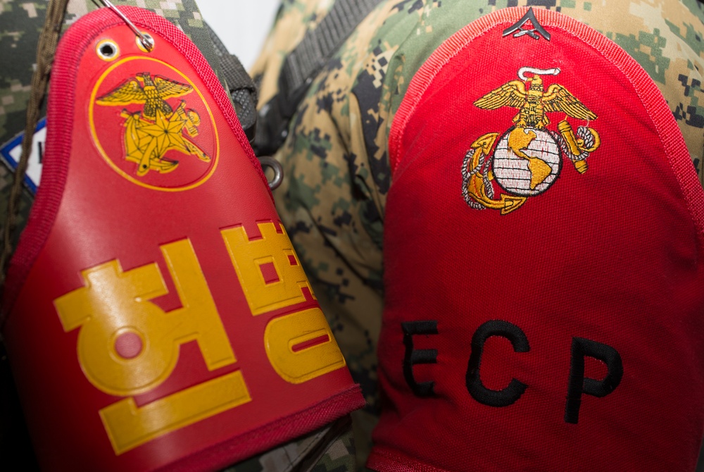 U.S. Marines and ROK Marines guard ECP