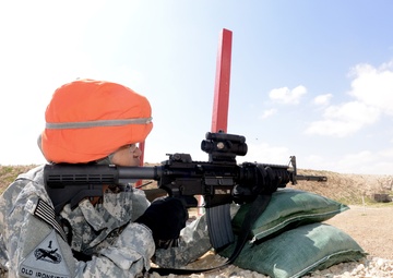 Nevada Guardsman takes home top honors during Task Force Sinai quarterly competition