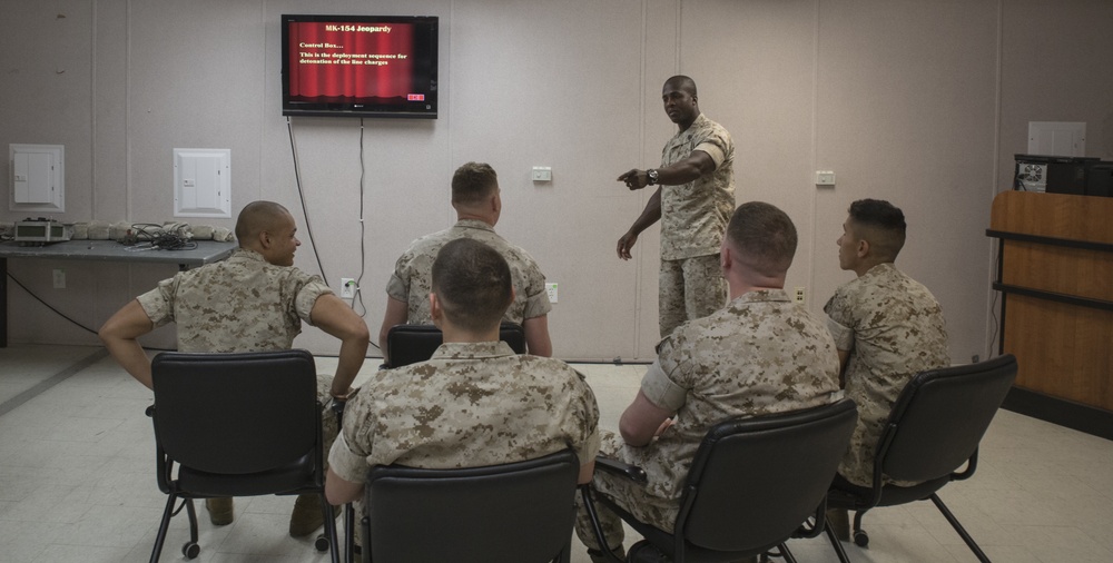 Marines train with mine clearing weapon system