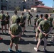 13th MEU Physical Training Session
