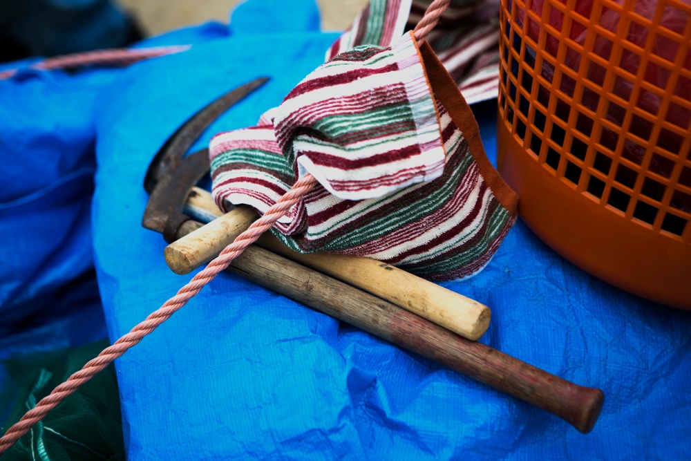 “Kama” in hand, seaweed in the bag: Camp Courtney opens gates for 15th annual Hijiki Harvest
