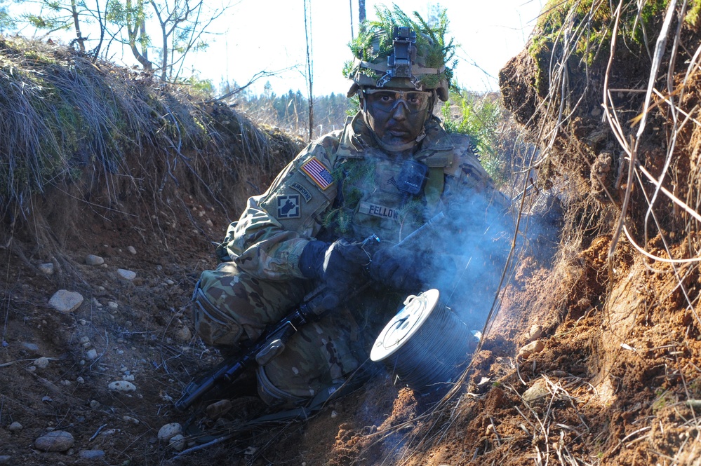 Operation Atlantic Resolve, Estonia