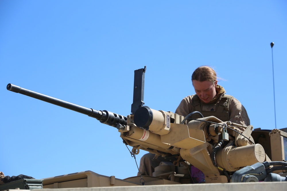 Integrated Task Force Tank Platoon begins MCOTEA assessment