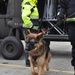 K9s train with Rhode Island National Guard